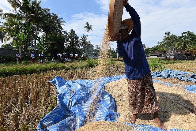 Sustainable Tourism in Bali | British Council